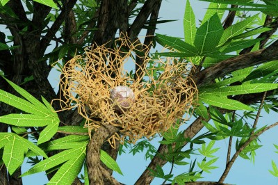 BridsNestTreeHouse.jpg (169.42 KiB) Viewed 5638 times BridsNestTreeHouse.jpg