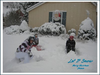 Let_It_Snow2009.jpg