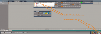 Camera FOV Widget Auto Keyframing.png (68.76 KiB) Viewed 2850 times Camera FOV Widget Auto Keyframing.png
