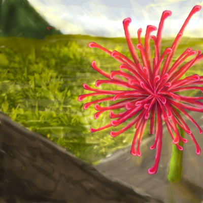 20150720_230451.png