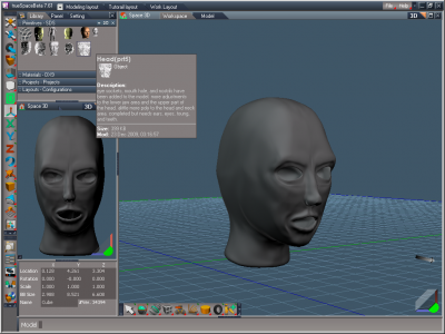 Views of head_SDS.png
