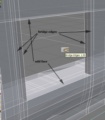 bridge.jpg