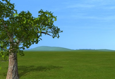 Landscape2.jpg (256.68 KiB) Viewed 5049 times Landscape2.jpg