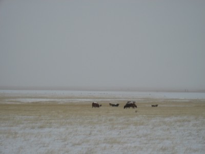 New Years Eve 2010-2011 Brr 016.JPG