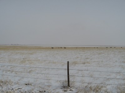 New Years Eve 2010-2011 Brr 010.JPG