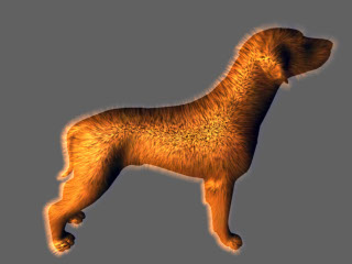 dog.jpg
