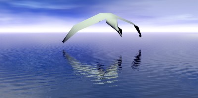 bird haiku.jpg (108.03 KiB) Viewed 4907 times bird haiku.jpg