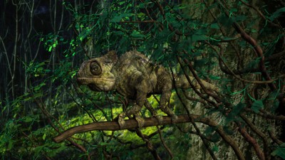 cameleon.jpg