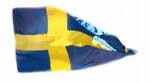Sweden.jpeg
