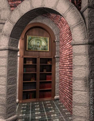 Library Bookshelf