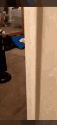 alarm.gif (925.02 KiB) Viewed 4636 times alarm.gif