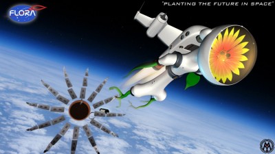 Flora Astronaut 2.jpg