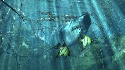sharkanim.jpg (109.59 KiB) Viewed 4795 times Vue render