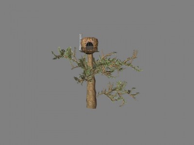 Squirrel House.jpg