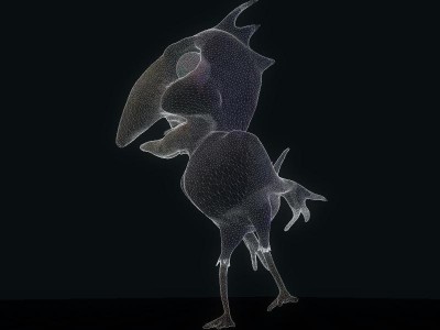 BirdWire_00110.jpg
