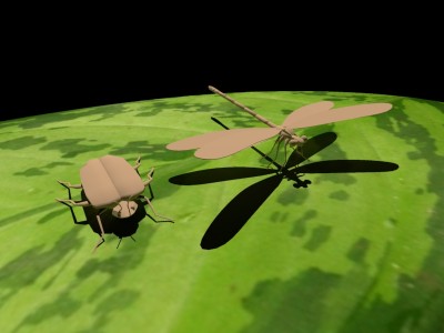 Insects_temp.jpg (179.41 KiB) Viewed 3766 times Insects_temp.jpg