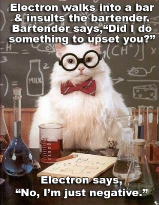 Best-Physics-Joke.png