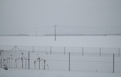snow.jpg