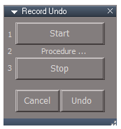 Record Undo panel.png