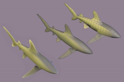 SharkMesh3.jpg (81.14 KiB) Viewed 3957 times SharkMesh3.jpg
