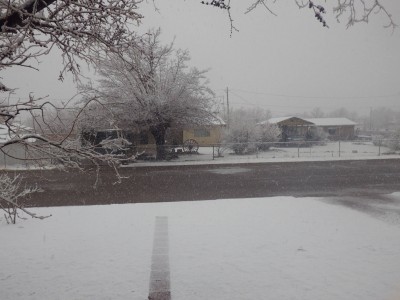 Snow11March2022.jpg (241.1 KiB) Viewed 3891 times Snow11March2022.jpg